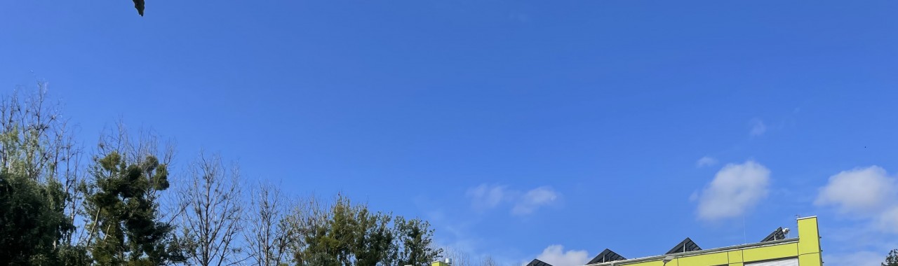 Lokal użytkowy na wynajem przy ul. Towarowej 1 w Tarnowskich Górach 