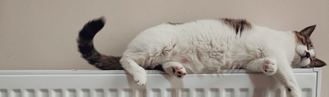 Kilka słów na temat racjonalnego ogrzewania