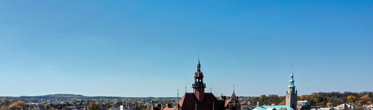 Oferta pracy: Pomocnik dekarza / Pracownik ogólnobudowlany